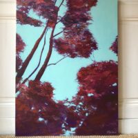 Humbertine_Chalmin_Cîmes_Vibrations_Rubis_c 